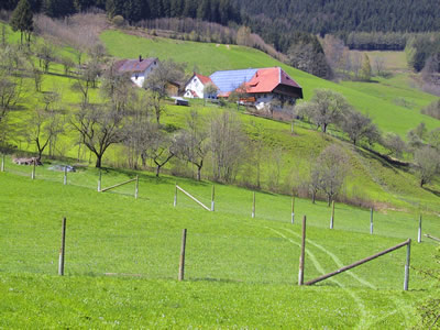 Tax Rebate for Farms in Ontario